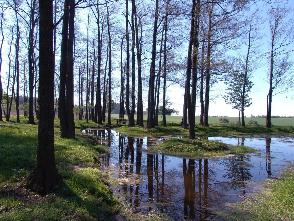 Wellness Penzion Pod Rozhlednou Adlerkosteletz Exterior foto